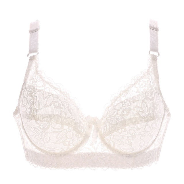 Bean Sand Full Coverage Underwire Push Up Lace & Mesh Wide Band Bra –
