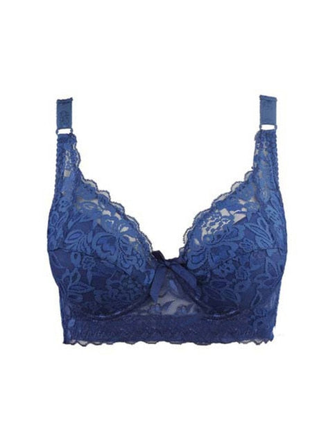 Blue Full Coverage Underwire Push Up Lace & Mesh Wide Band Bra –